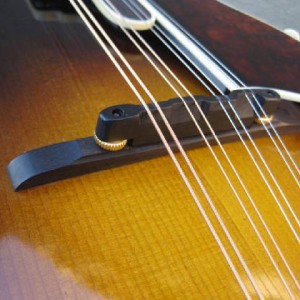 Cumberland Acoustic Mandolin Bridge – Radiused Product
