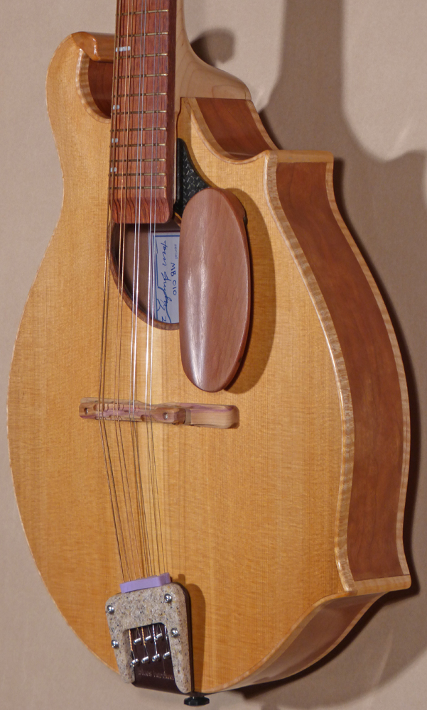 New Blues Hardware Mandolin Greg Boyd's House of Fine Instruments