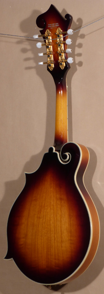 Austin MF-300S Mandolin w/ HC - SOLD - Greg Boyd's House of