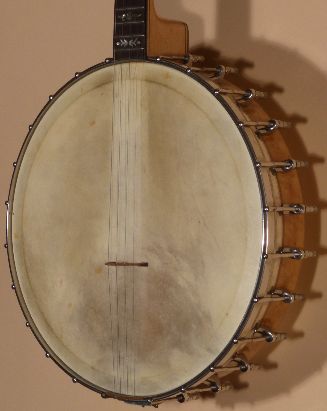 c 1920 Orpheum No. 1 Tenor Banjo Product