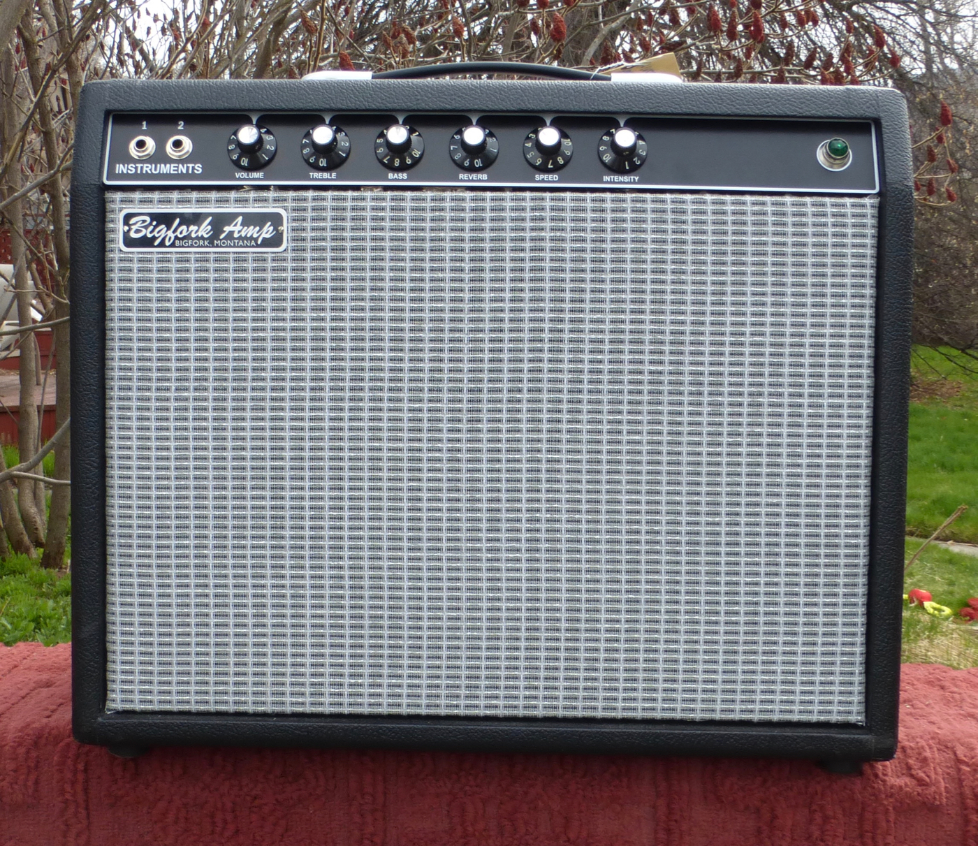 New Big Fork Hand Wired ’64 Fender Princeton Amp Product