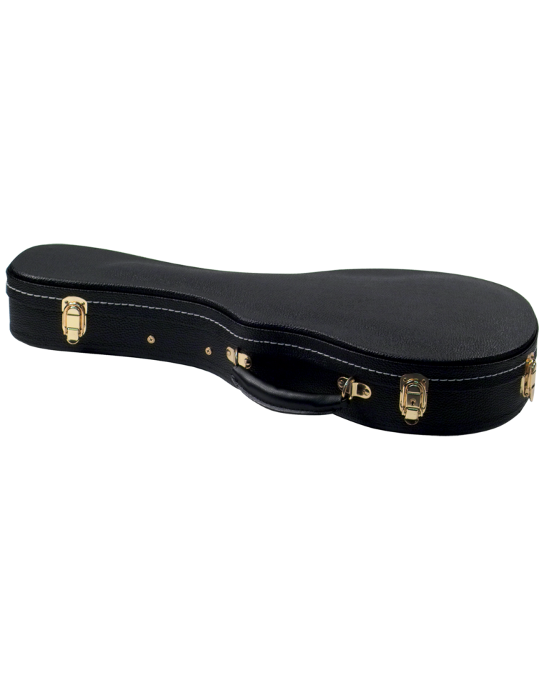 Travelite Case for A or FStyle Mandolin