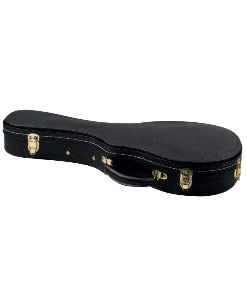 Travelite Case for A or FStyle Mandolin