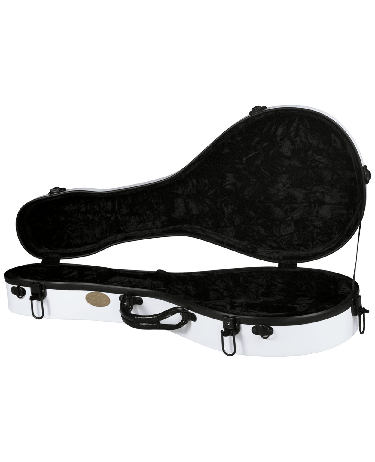 Travelite Case for A or FStyle Mandolin