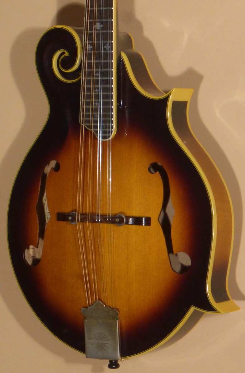 Washburn M-3SW/TS F-style Mandolin Product
