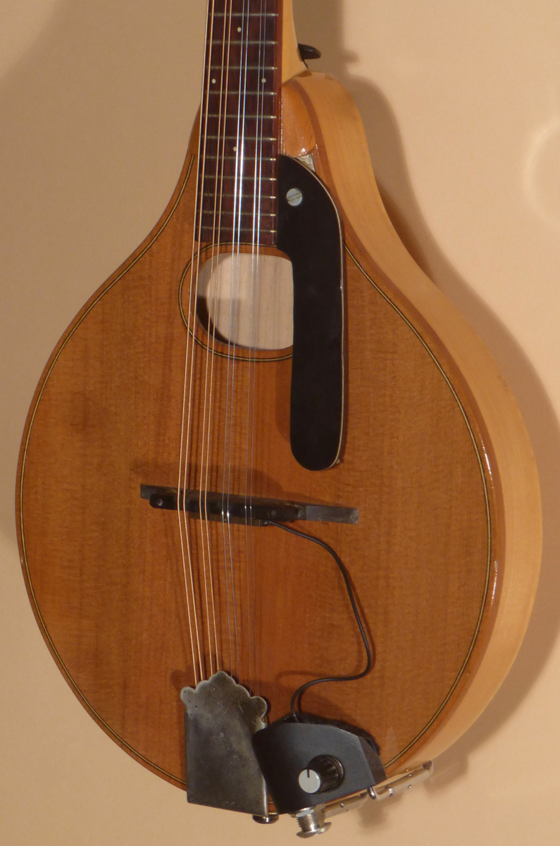 2010 Morris A Model Mandolin Product