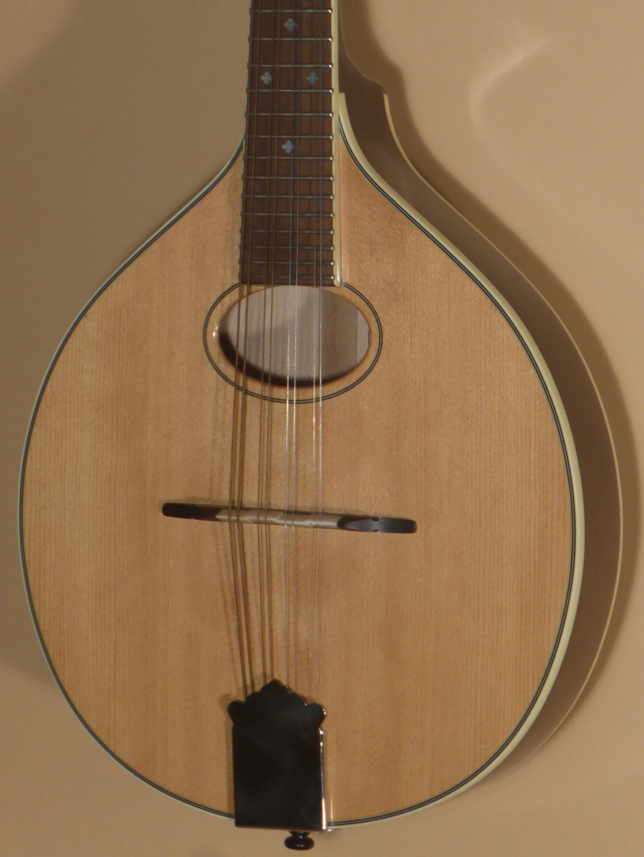 Trinity College TM-250 Mandolin Product