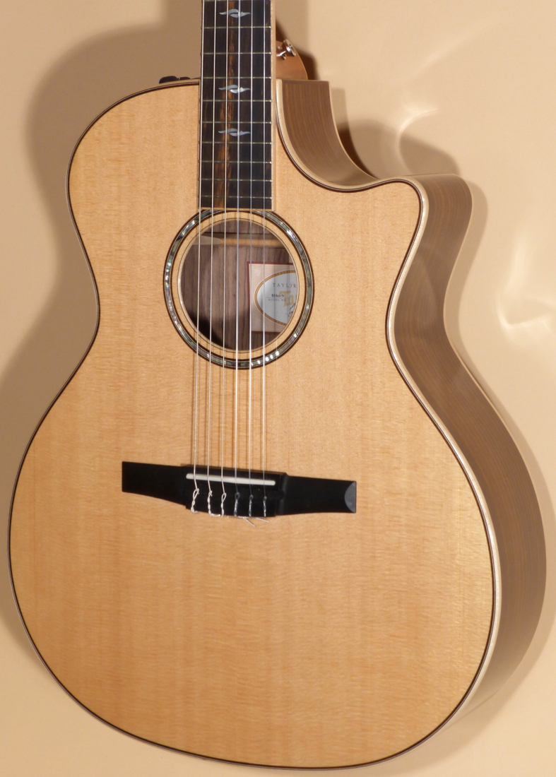 2017 Taylor 814 CE-N Product