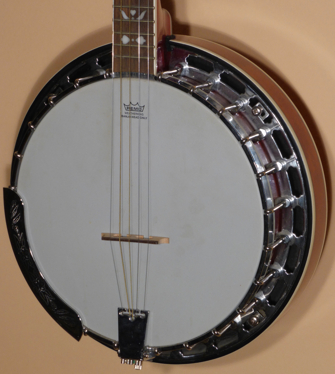 Morgan Monroe Rocky Top 5-str Banjo Product