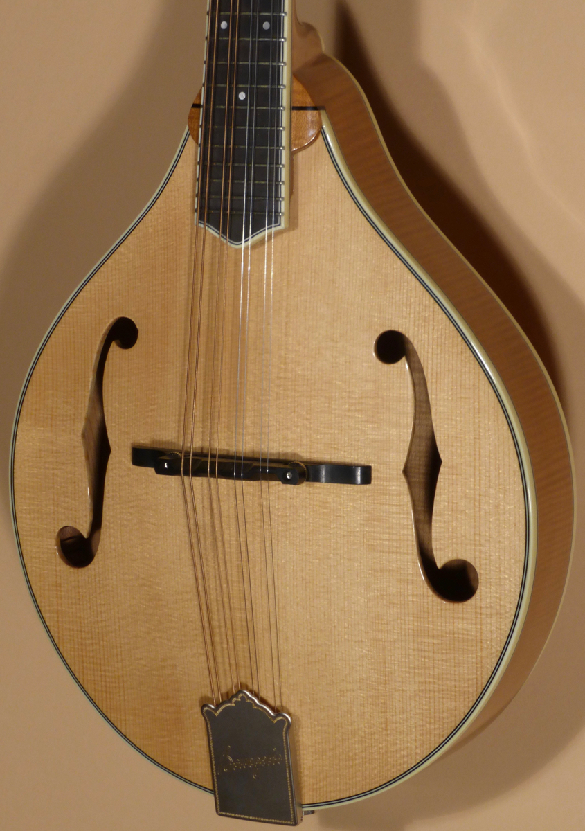 c2023 Bourgeois M5A Mandolin Product