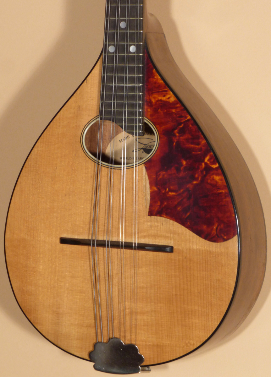 C.1930 Washburn Style B Mandolin Product