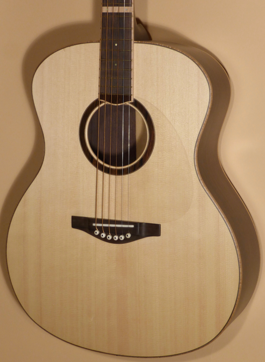 New Mitchell Paulson 2025 Full Size Lutz Spruce Product