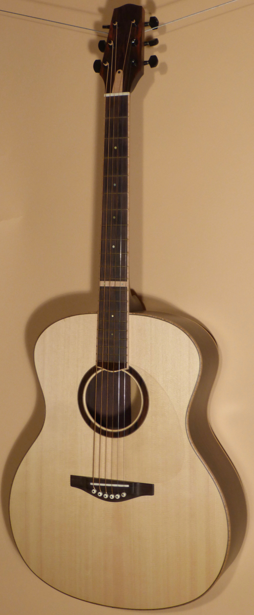 New Mitchell Paulson 2025 Full Size Lutz Spruce - Image 2