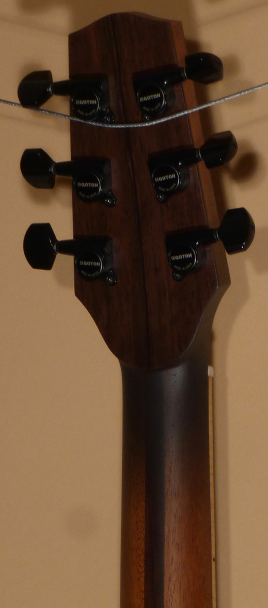 New Mitchell Paulson 2025 Full Size Lutz Spruce - Image 9