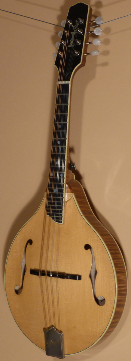 2017 Don Dryer A-Model Mandolin - Image 2