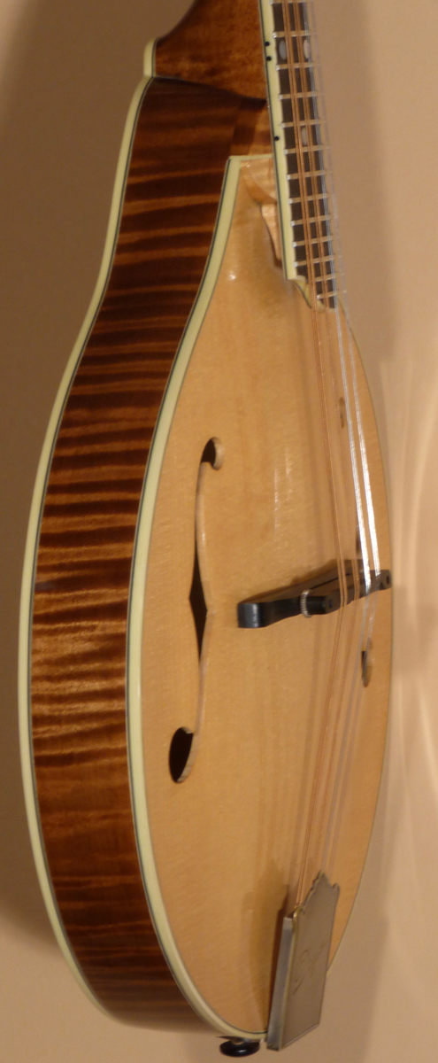 2017 Don Dryer A-Model Mandolin - Image 6