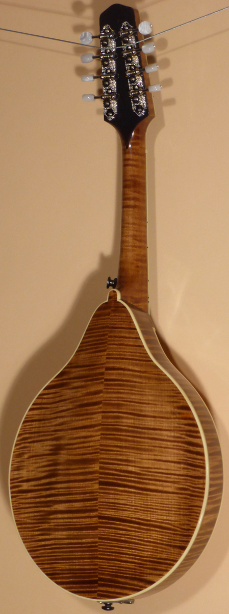 2017 Don Dryer A-Model Mandolin - Image 3