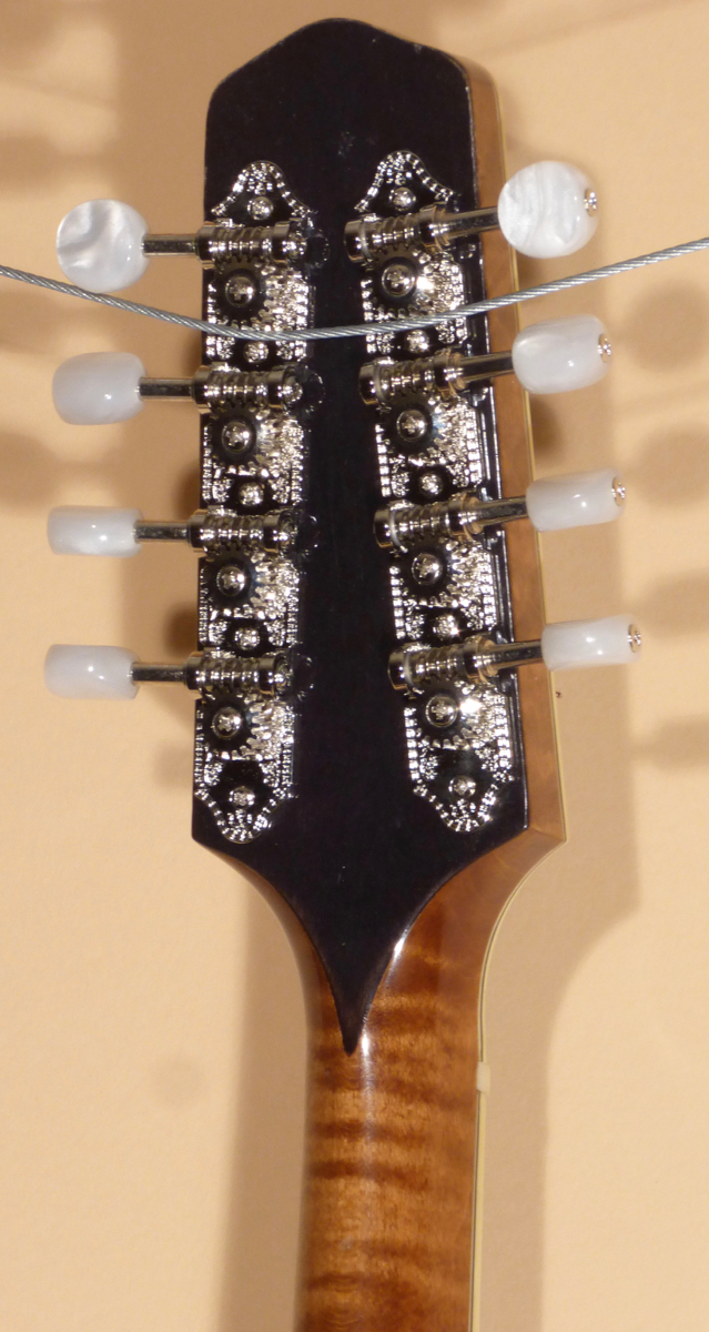 2017 Don Dryer A-Model Mandolin - Image 9